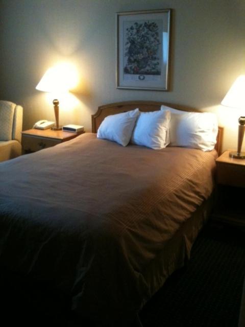 Carol Hotel Omaha Habitación foto